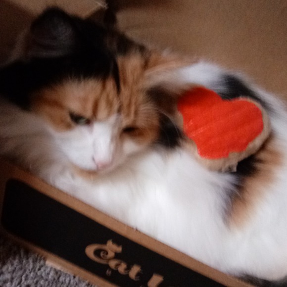 Meet your Posher, Angel - Picture 1 of 11